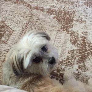 Meet your Posher, Mallory